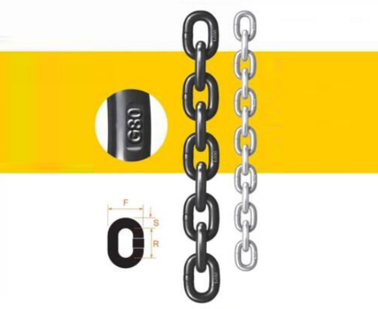 起重水蜜桃在线视频观看