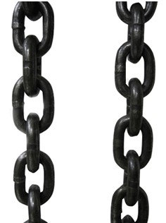 起重水蜜桃在线视频观看示意圖