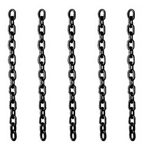 10mm起重水蜜桃在线视频观看展示圖