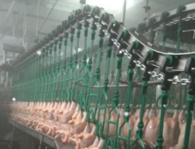 礦用刮板機水蜜桃在线视频观看